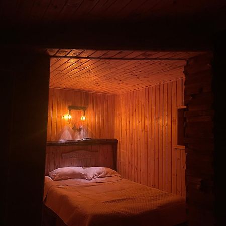 QUSHA Guest House Kazbegi Extérieur photo
