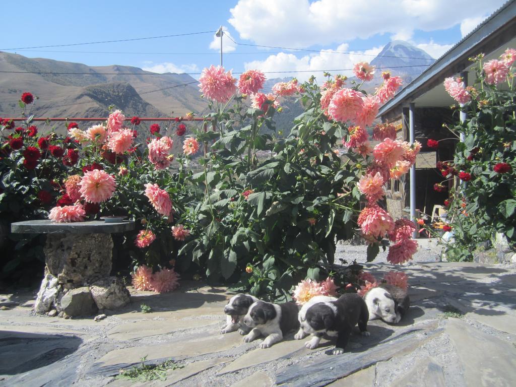 QUSHA Guest House Kazbegi Chambre photo