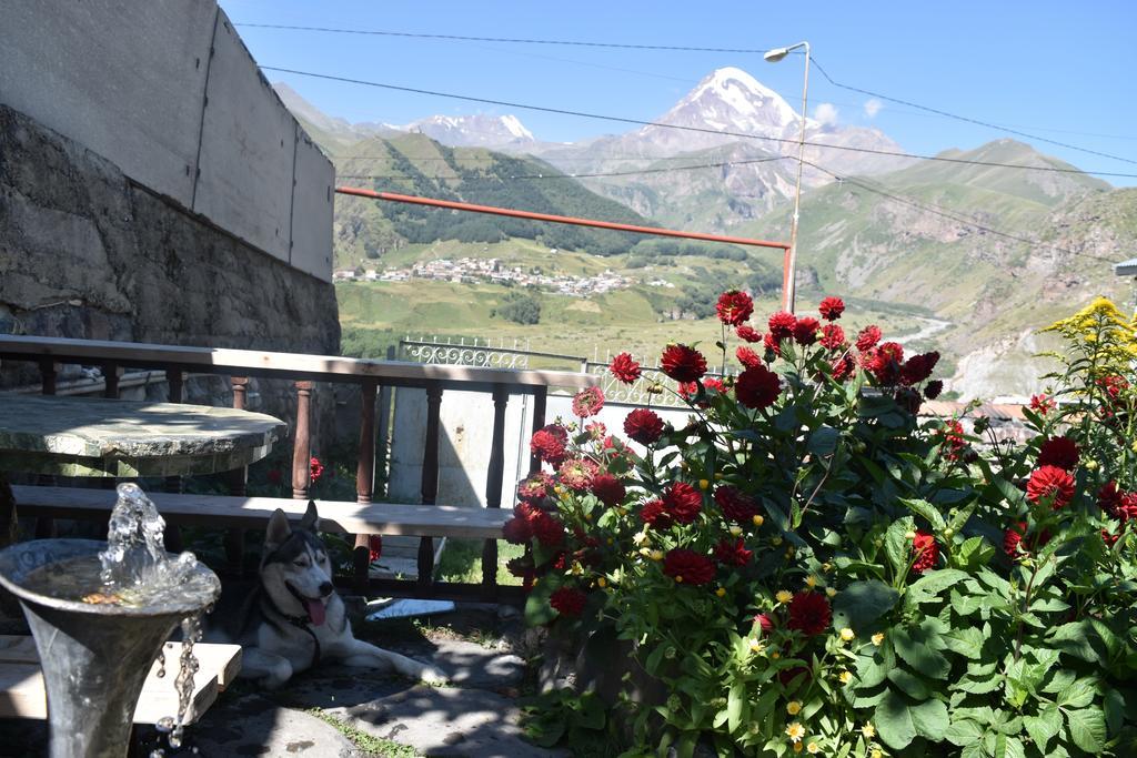 QUSHA Guest House Kazbegi Extérieur photo