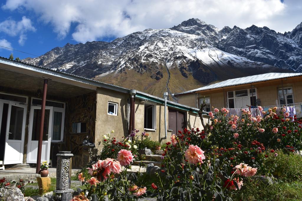 QUSHA Guest House Kazbegi Extérieur photo